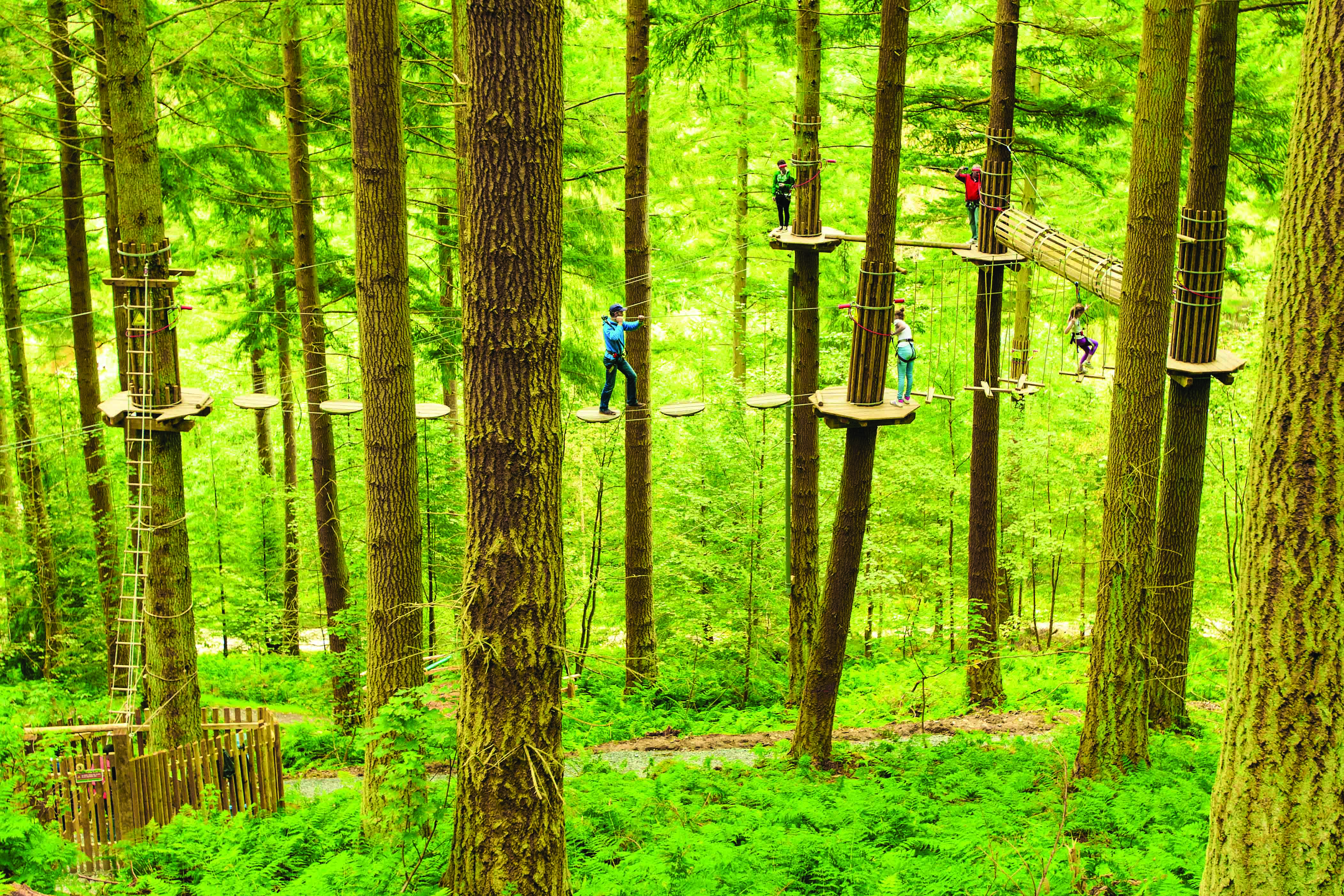 Go Ape Things to do Peebles Hydro