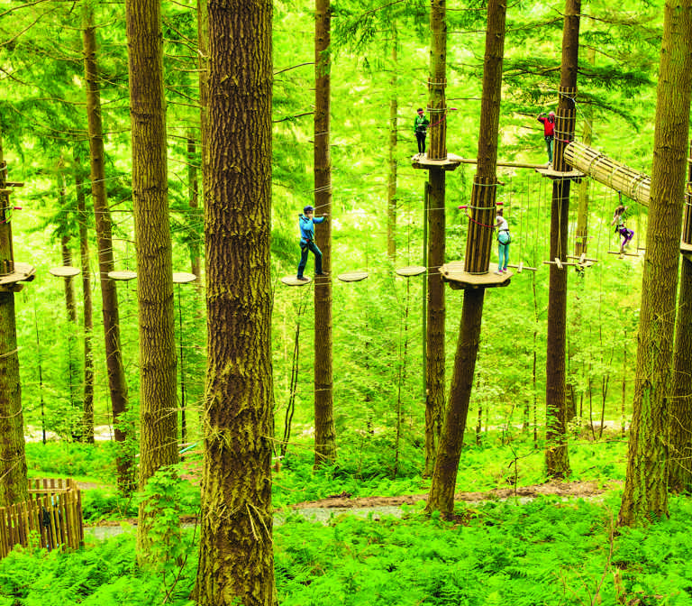 Go Ape Go Ape