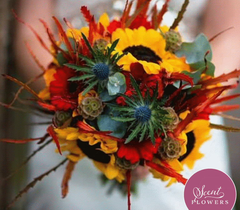 Scent Flowers Scent Flowers